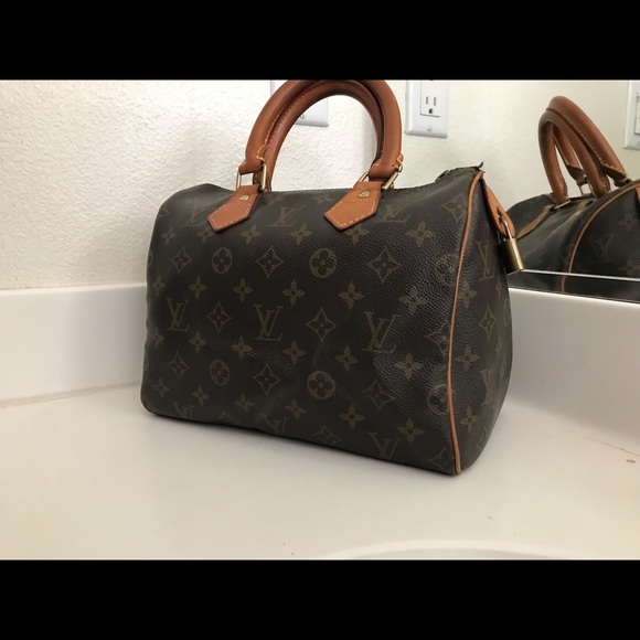 louis vuitton speedy monogram